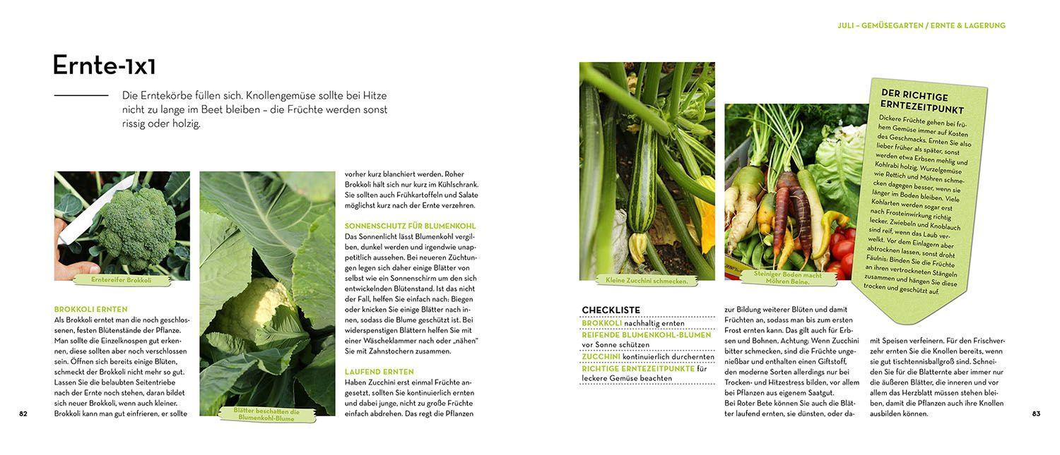 Beispielinhalt (Bild) Wächst das von allein - oder muss ich jetzt was machen?