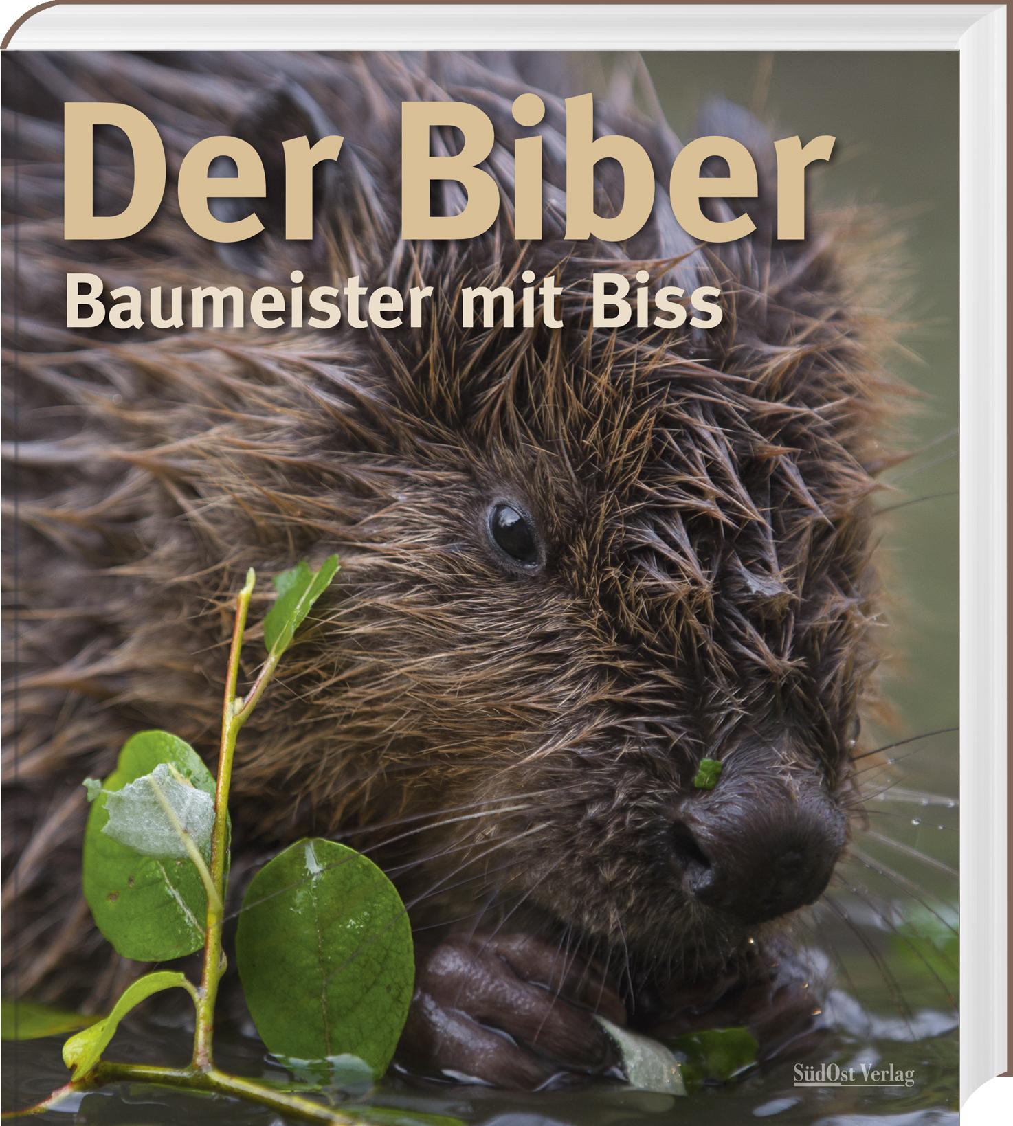 Vorderes Coverbild Der Biber