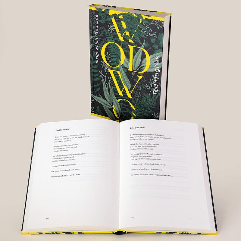 Beispielinhalt (Bild) Wodwo