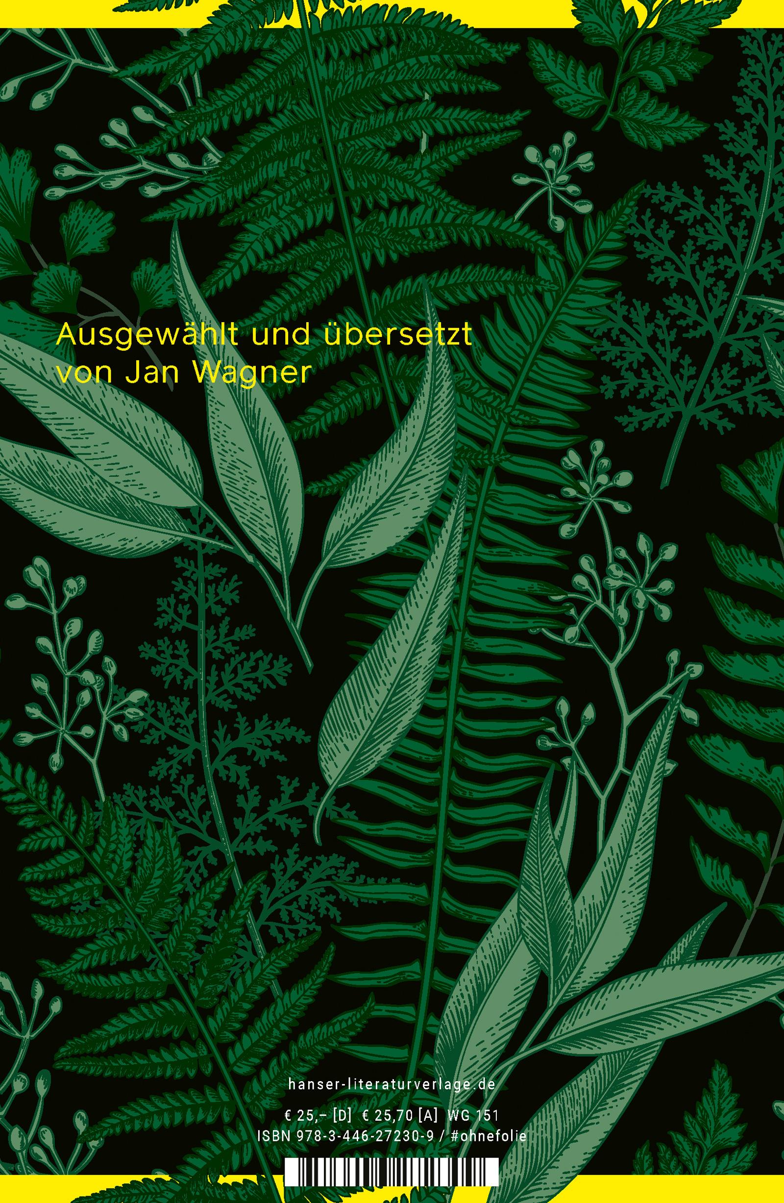 Beispielinhalt (Bild) Wodwo