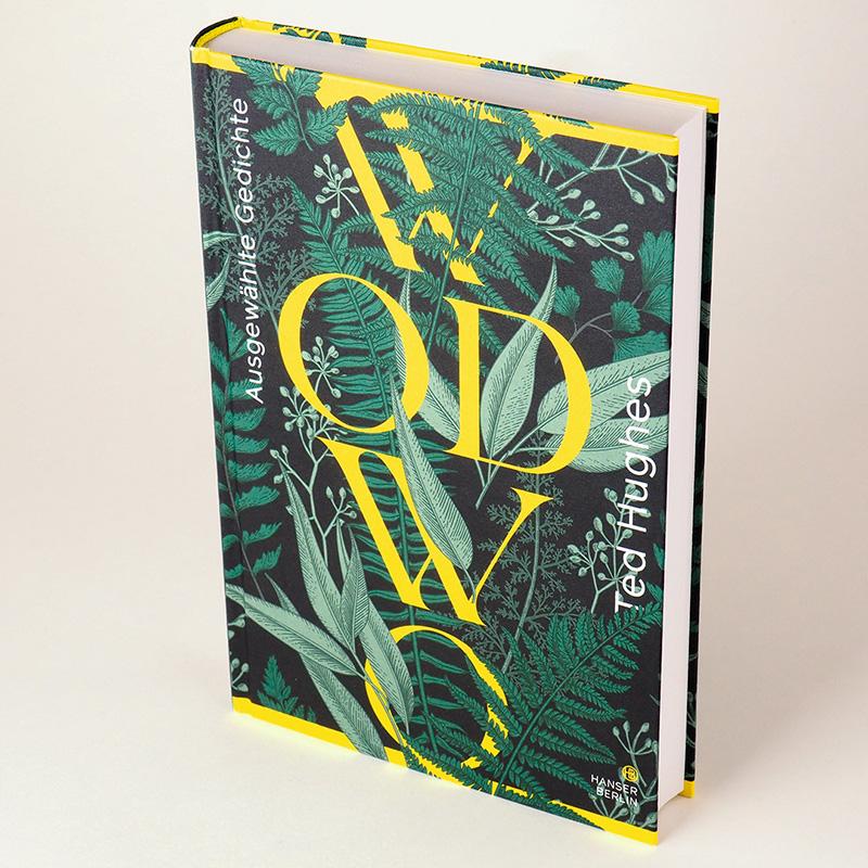 Beispielinhalt (Bild) Wodwo