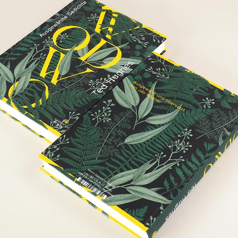 Beispielinhalt (Bild) Wodwo