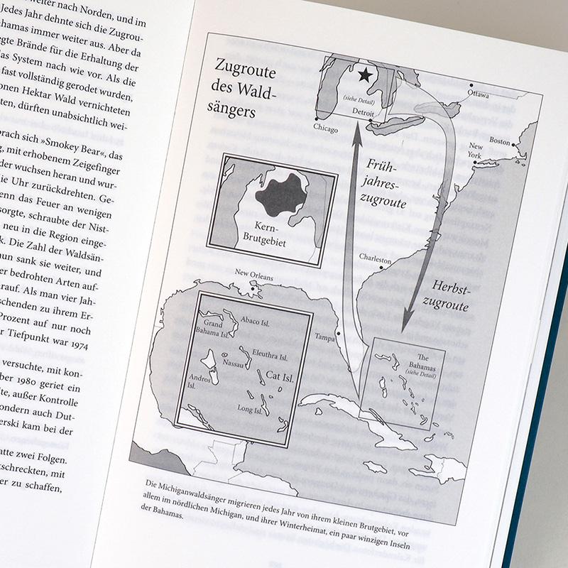 Beispielinhalt (Bild) Auf Schwingen um die Welt
