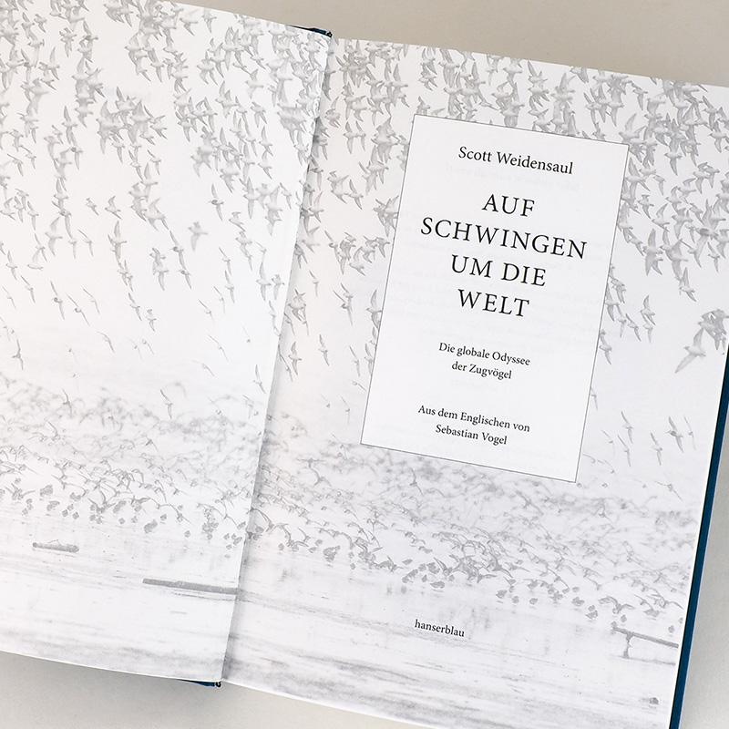 Beispielinhalt (Bild) Auf Schwingen um die Welt