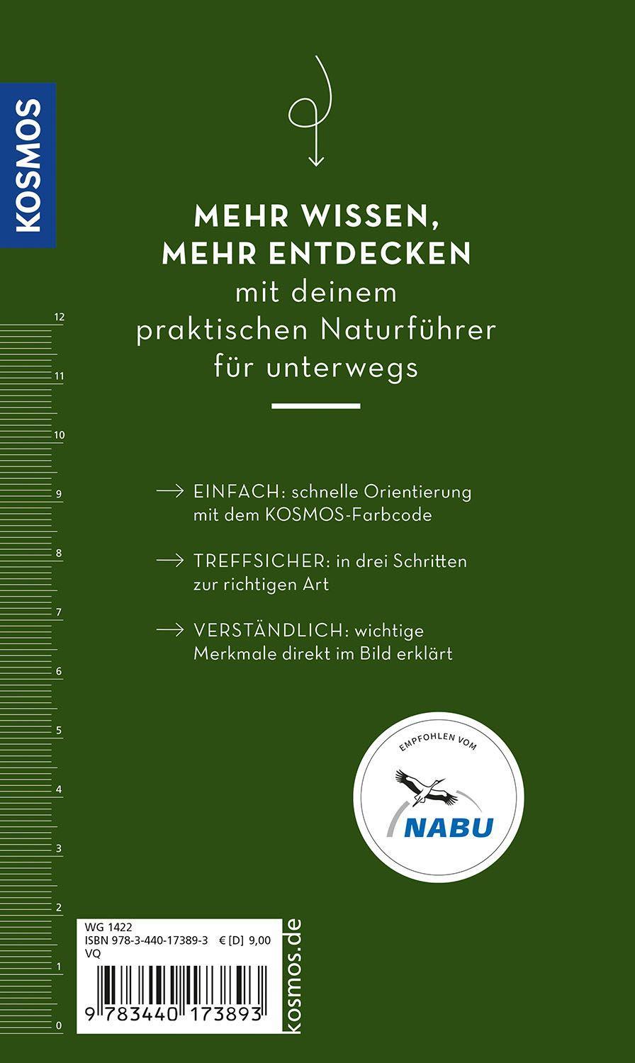 Beispielinhalt (Bild) BASIC Blumen