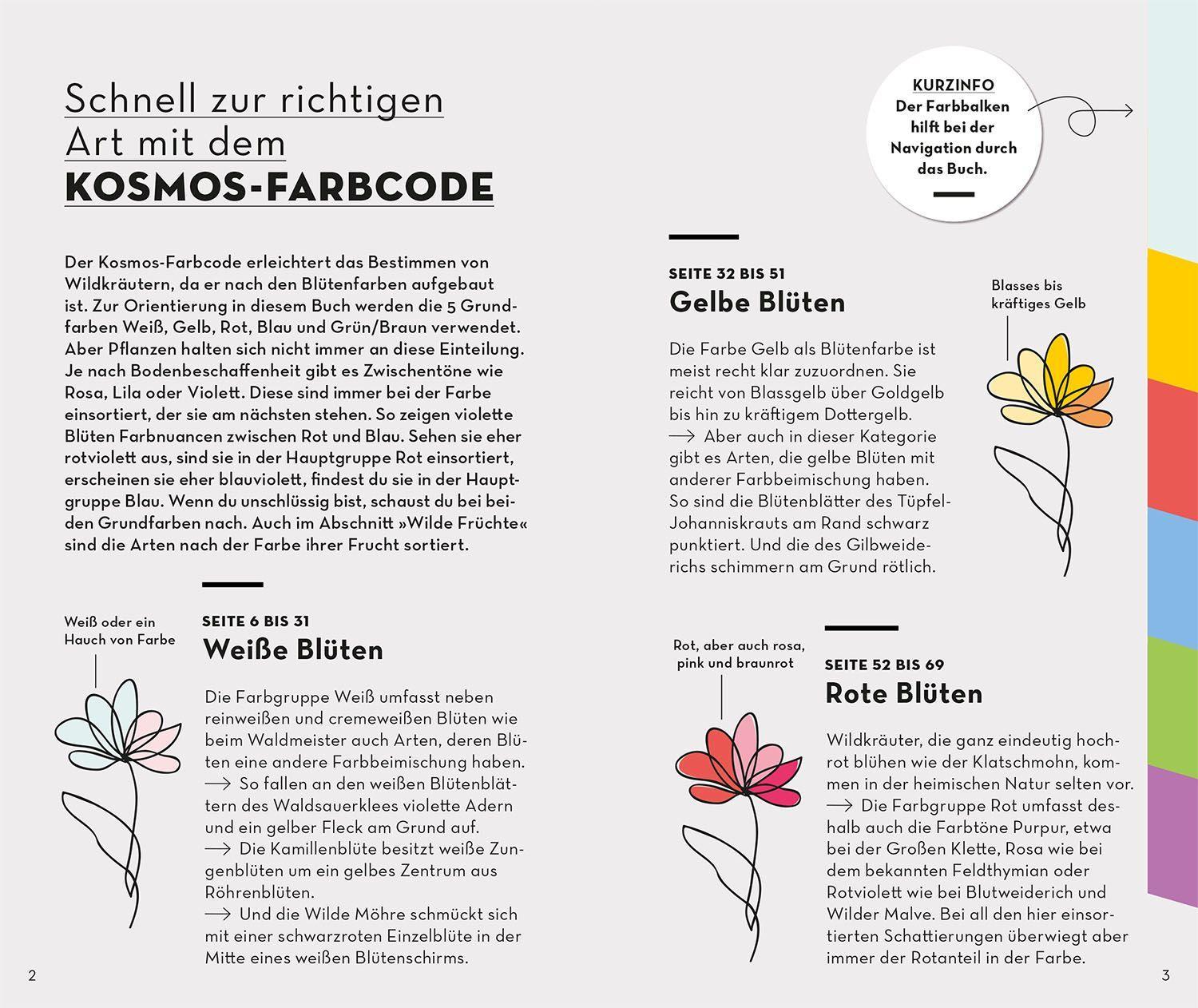 Beispielinhalt (Bild) BASIC Früchte und Wildkräuter