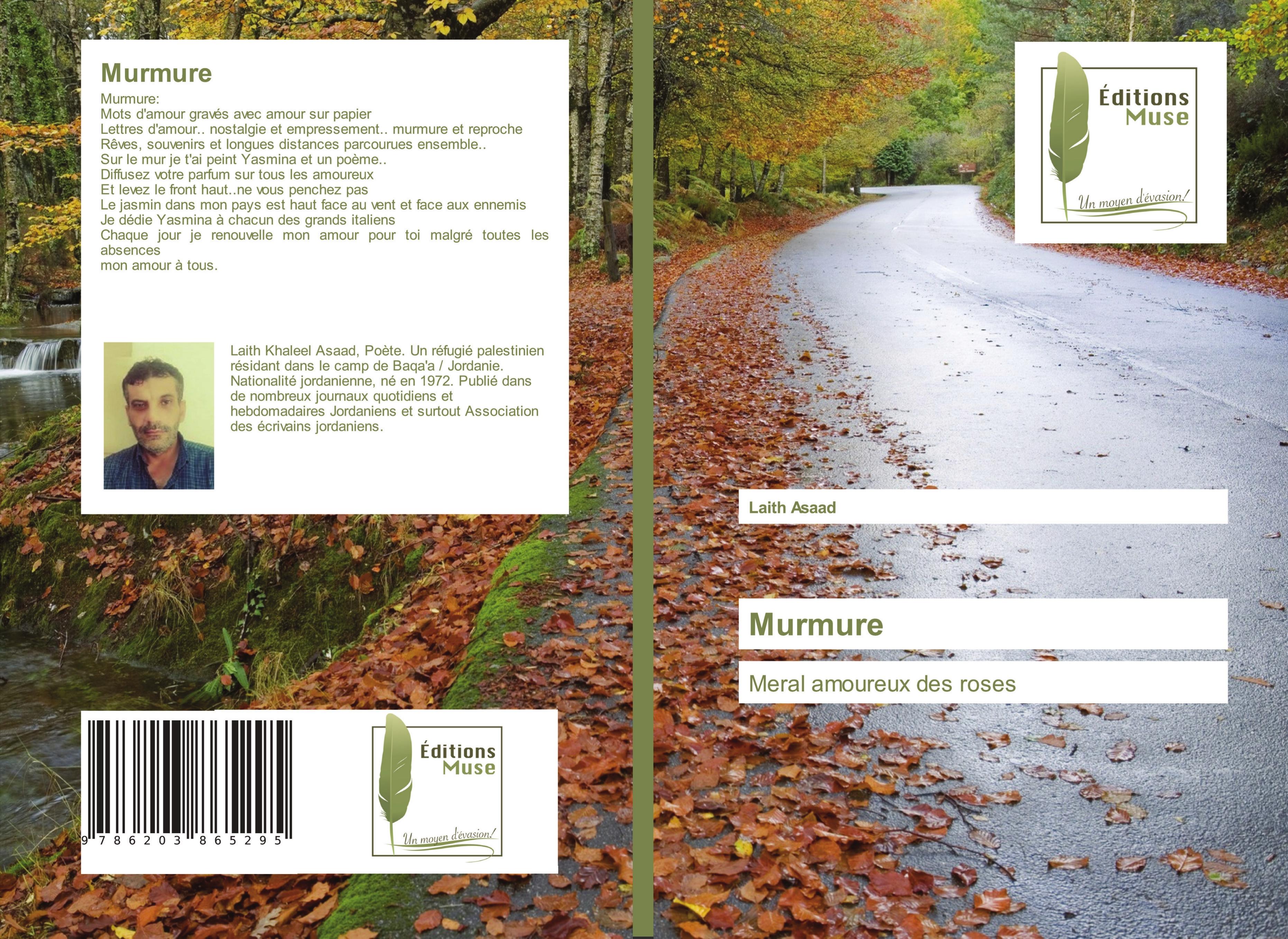 Vorderes Coverbild Murmure