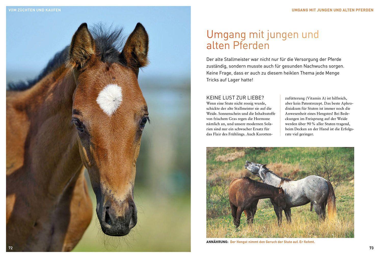 Beispielinhalt (Bild) Was der Stallmeister noch wusste