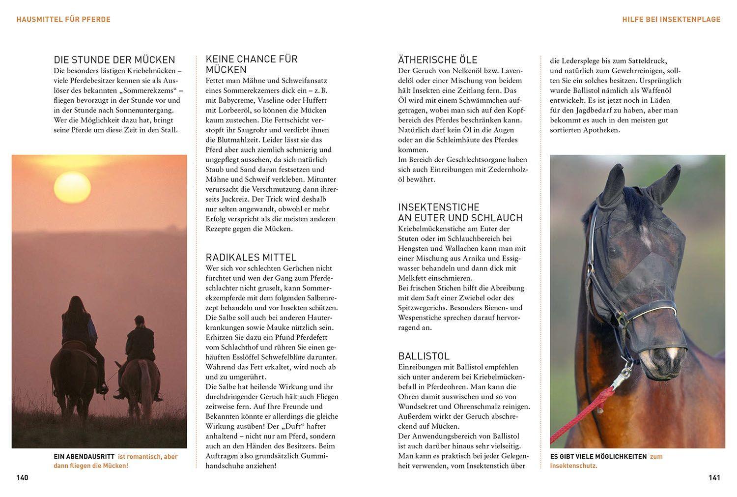 Beispielinhalt (Bild) Was der Stallmeister noch wusste