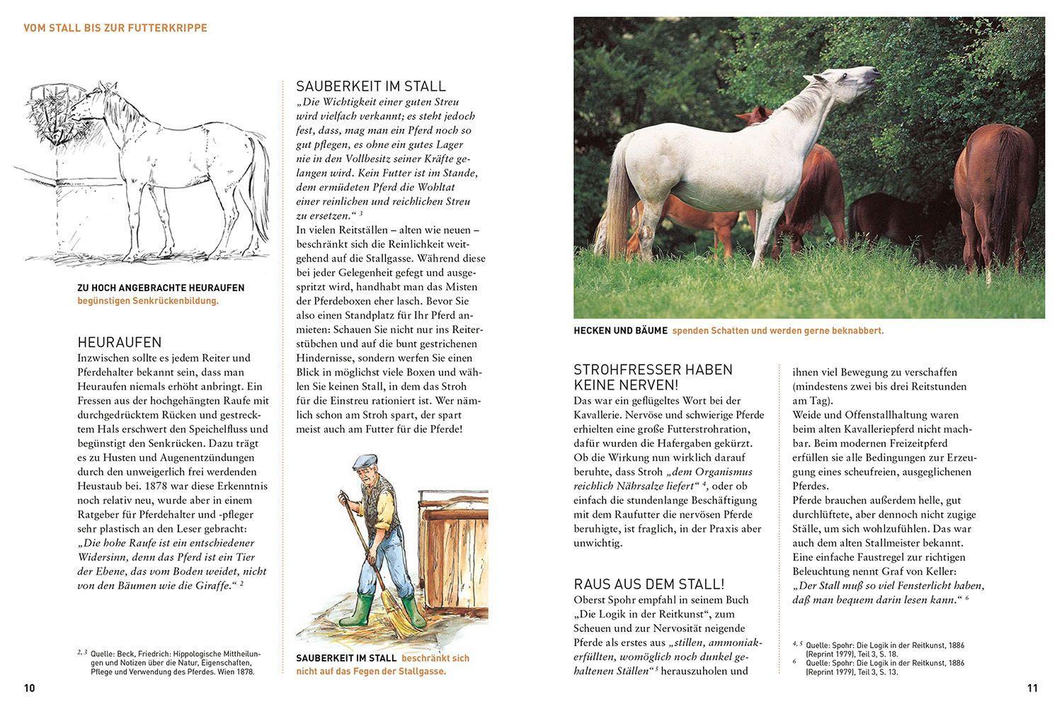 Beispielinhalt (Bild) Was der Stallmeister noch wusste