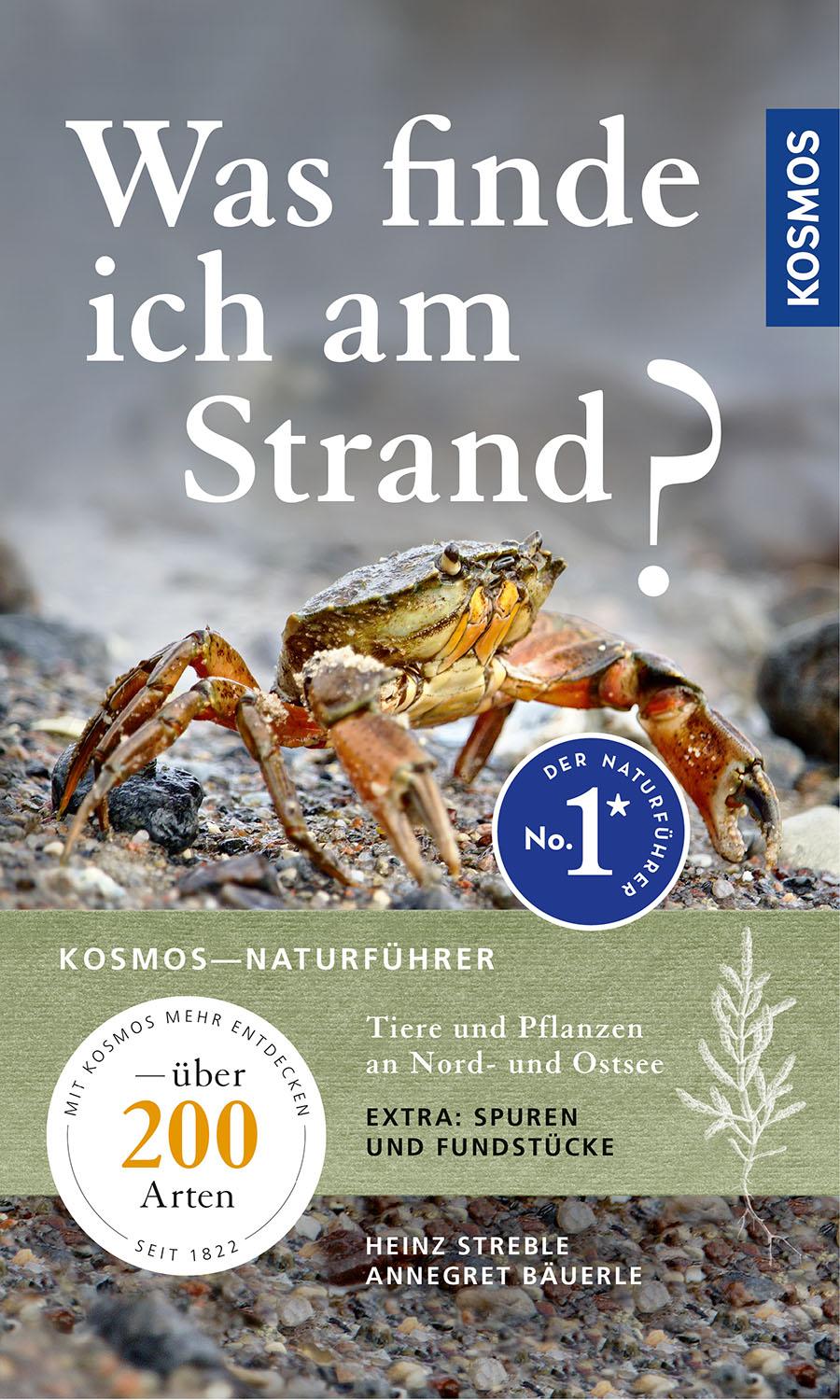 Vorderes Coverbild Was finde ich am Strand?