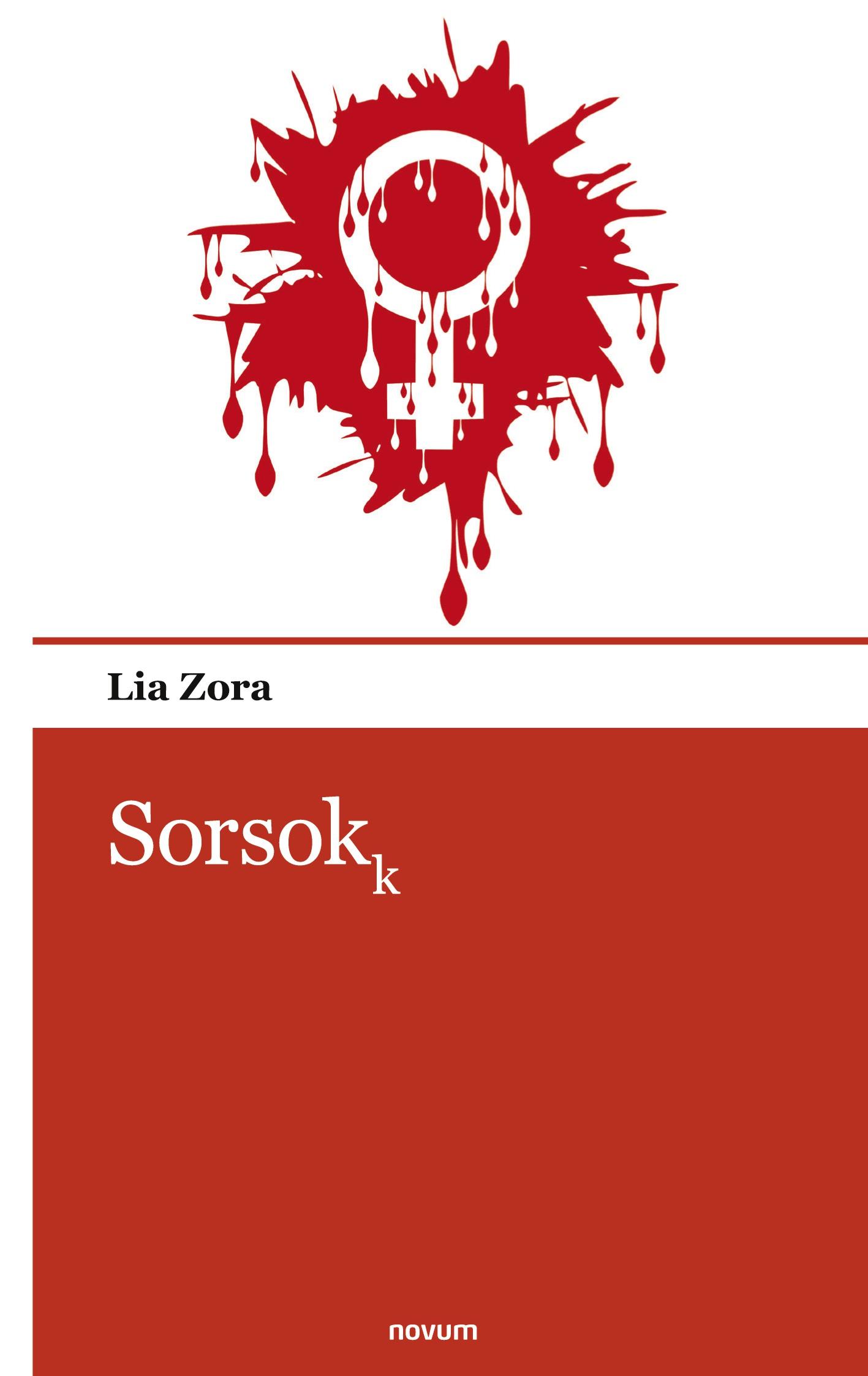 Vorderes Coverbild Sorsokk