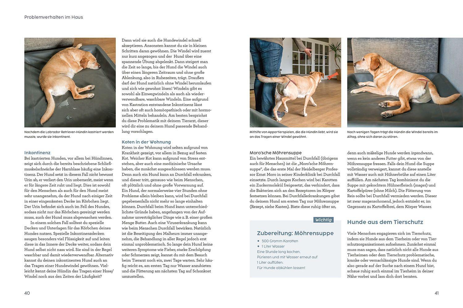 Beispielinhalt (Bild) Problem gelöst! mit Martin Rütter