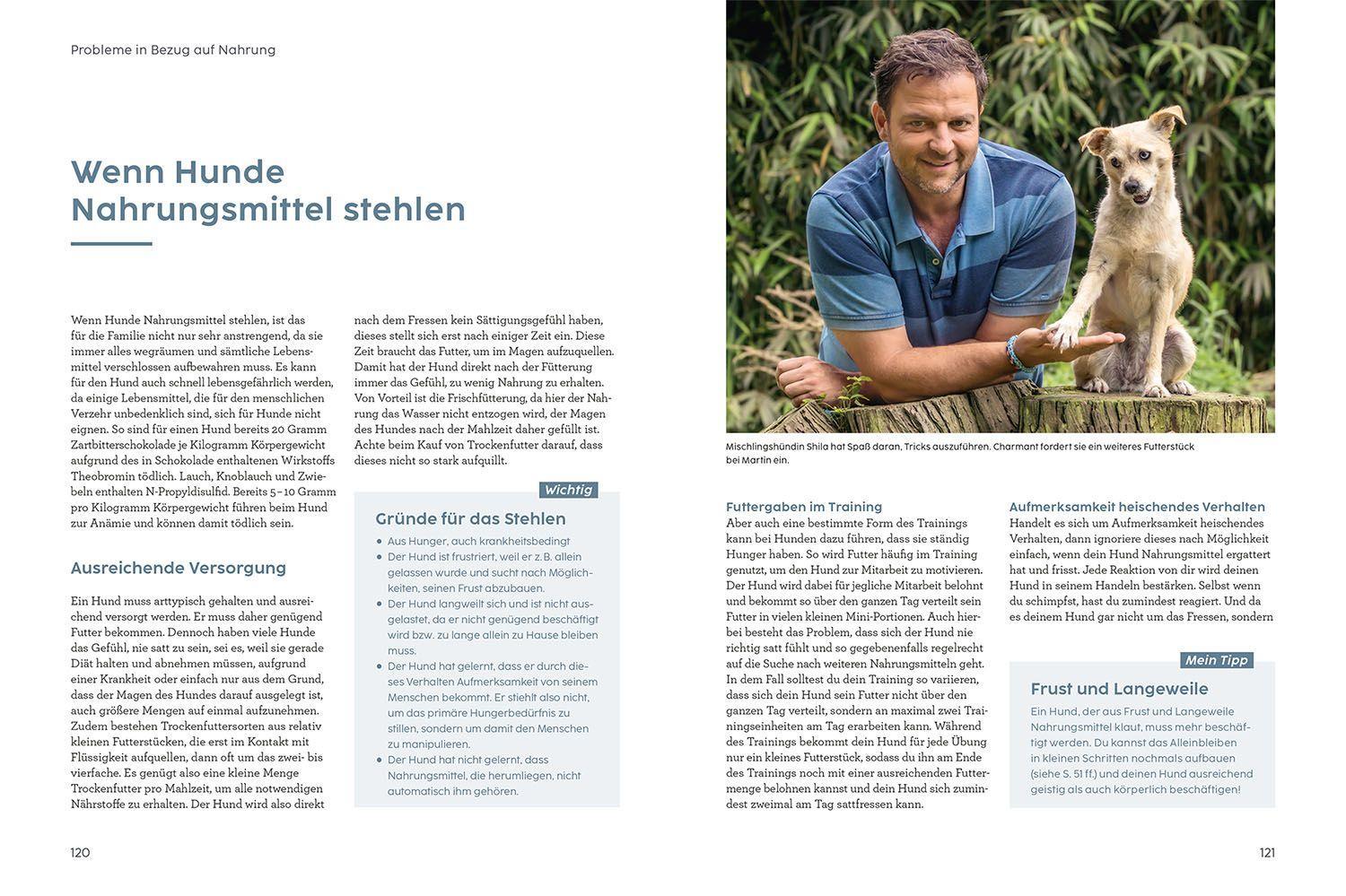 Beispielinhalt (Bild) Problem gelöst! mit Martin Rütter