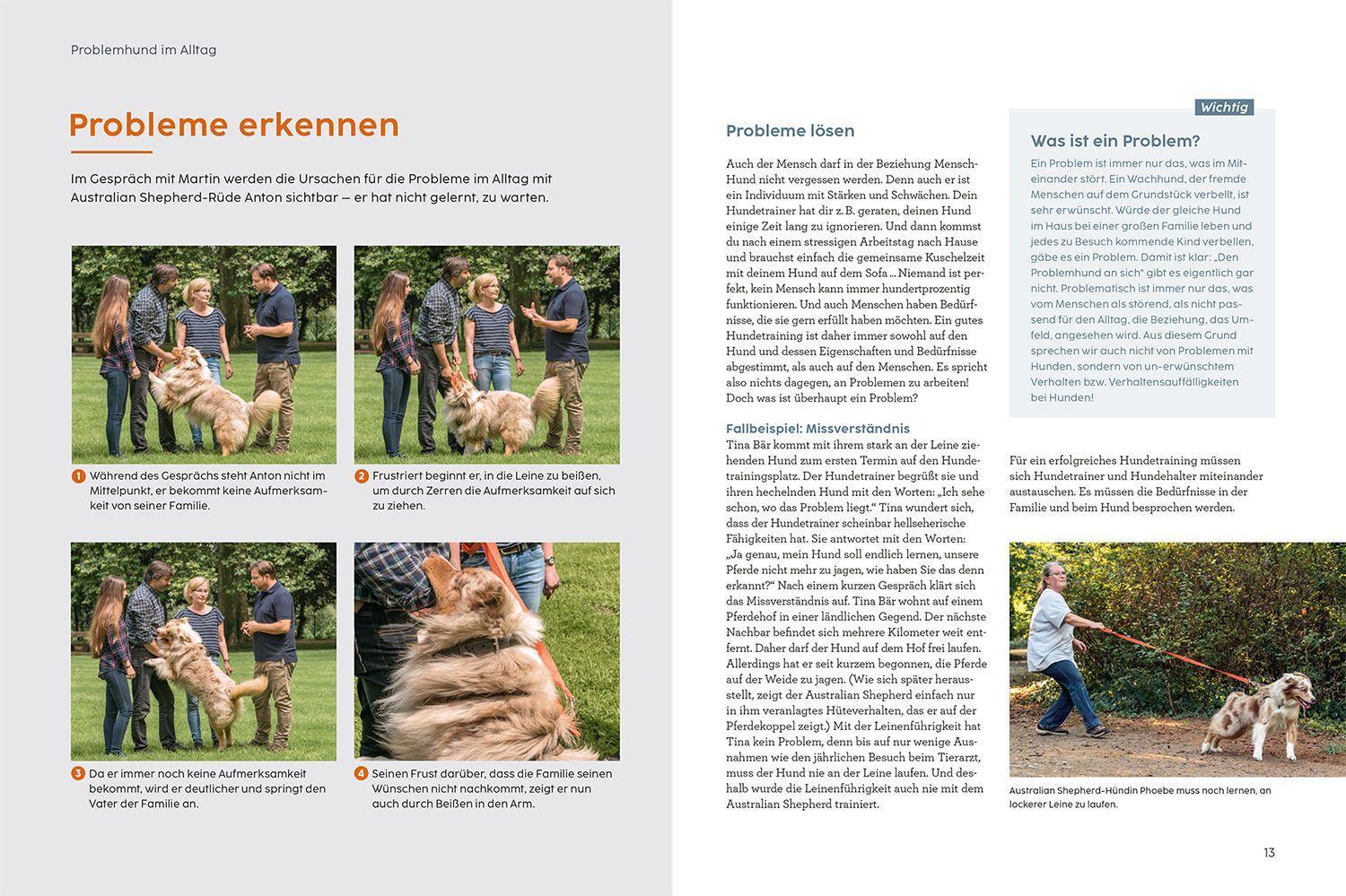 Beispielinhalt (Bild) Problem gelöst! mit Martin Rütter