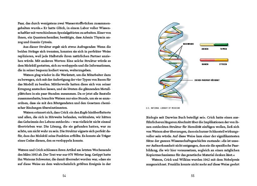 Beispielinhalt (Bild) Der Codebreaker