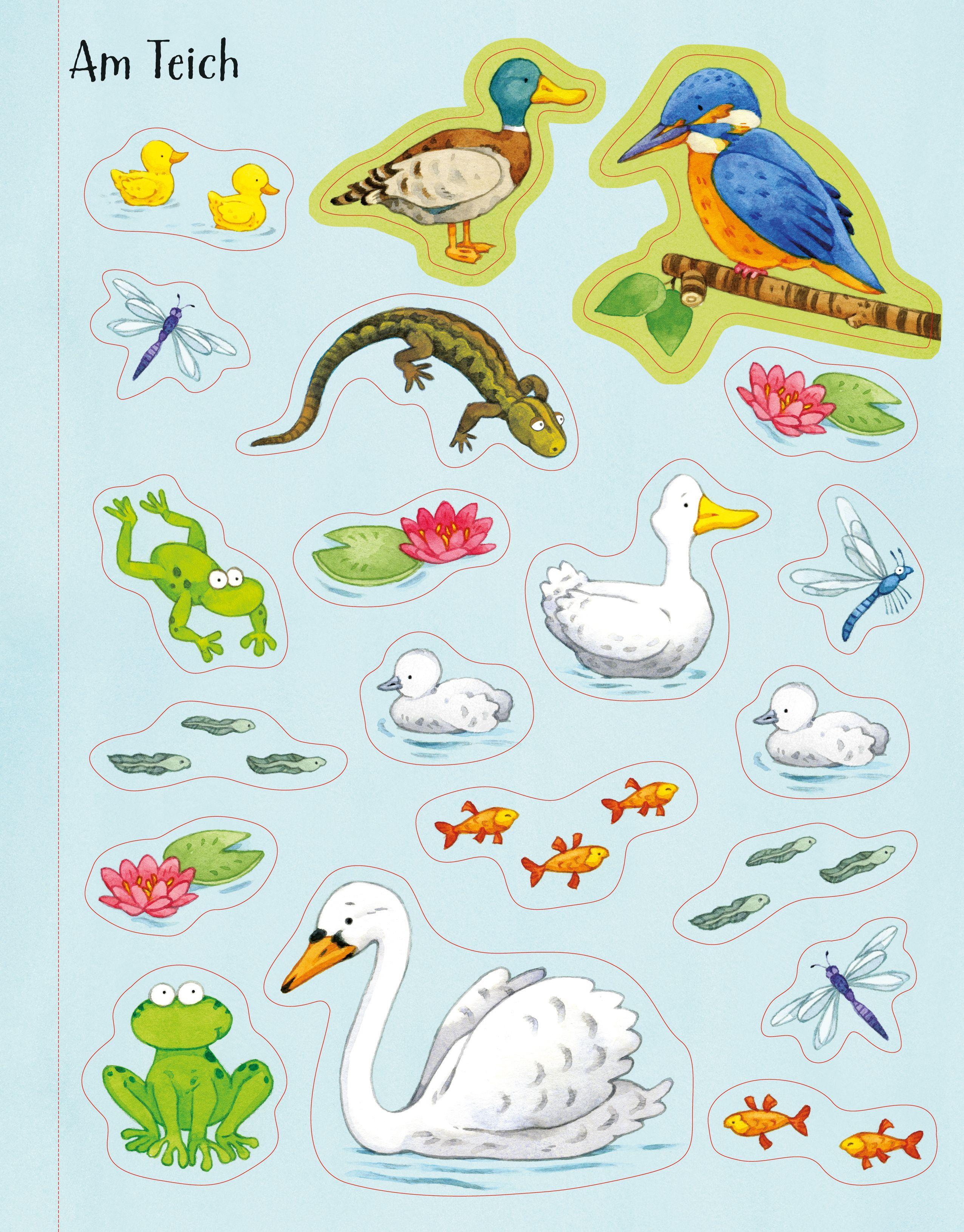 Beispielinhalt (Bild) Mein erstes Stickerbuch: Draußen in der Natur