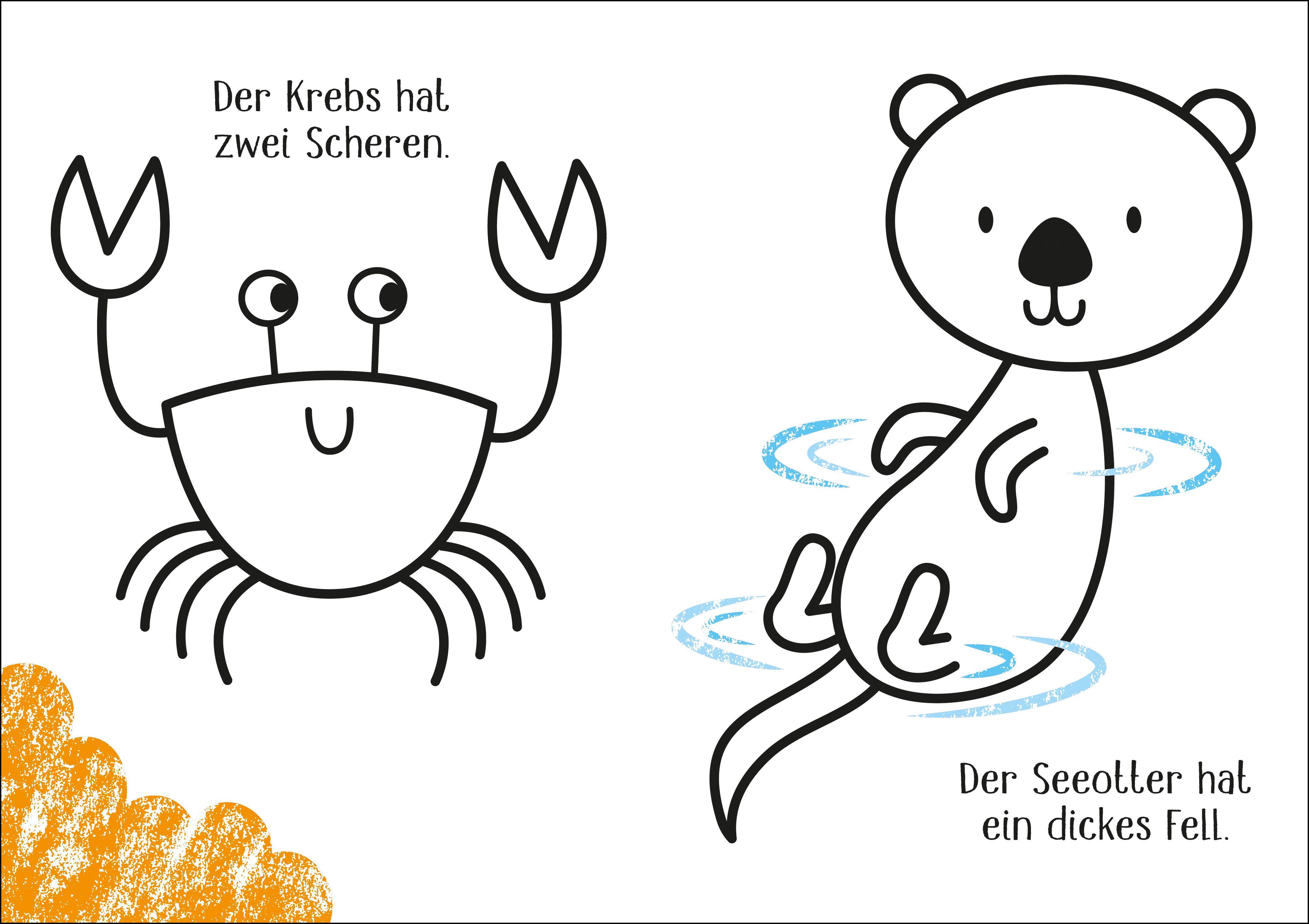 Beispielinhalt (Bild) Allererster Farbenzauber: Im Meer