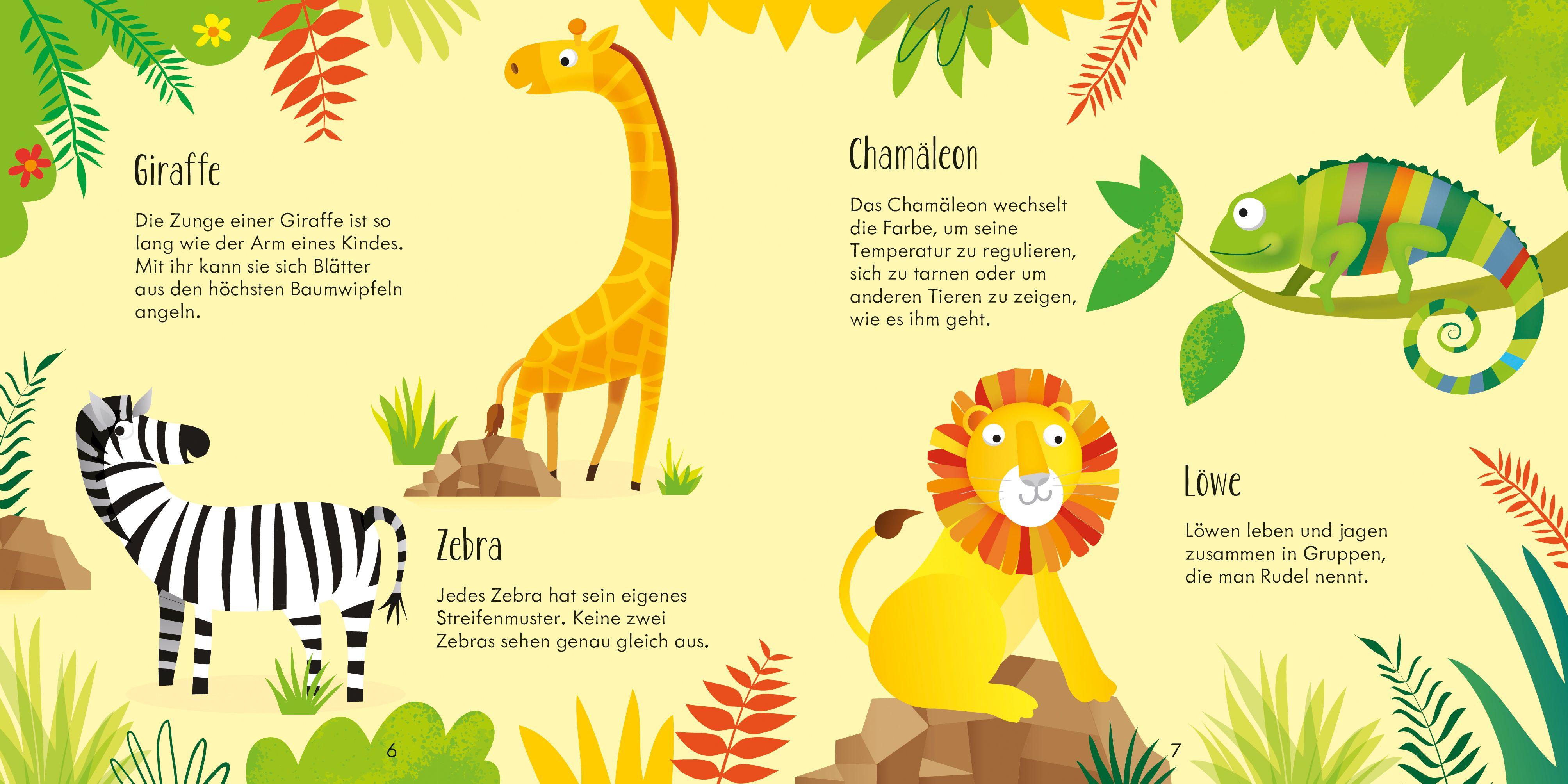 Beispielinhalt (Bild) Mein buntes Memo und Bilderlotto: Lustige Tierwelt