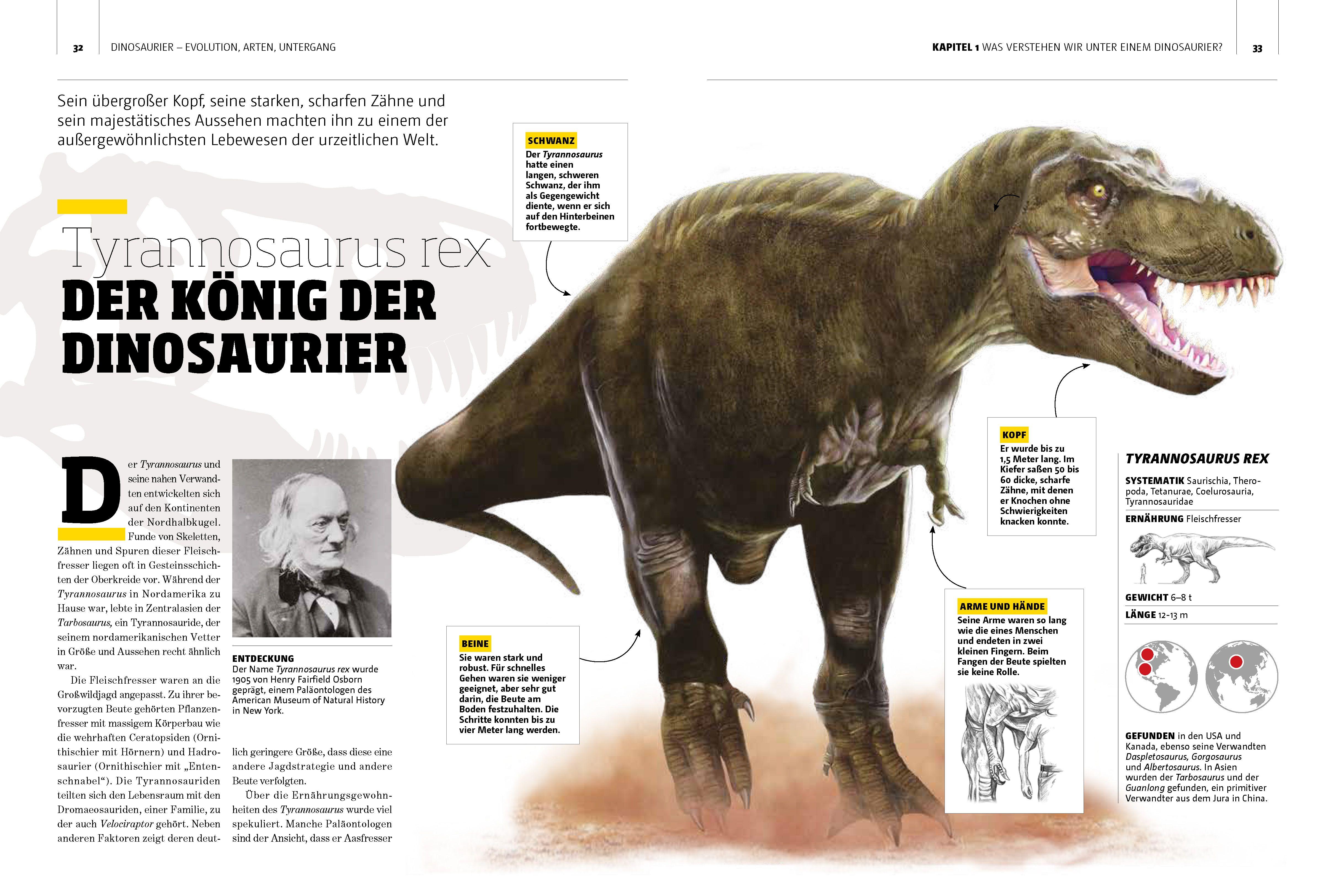 Beispielinhalt (Bild) Dinosaurier. Evolution, Arten, Untergang