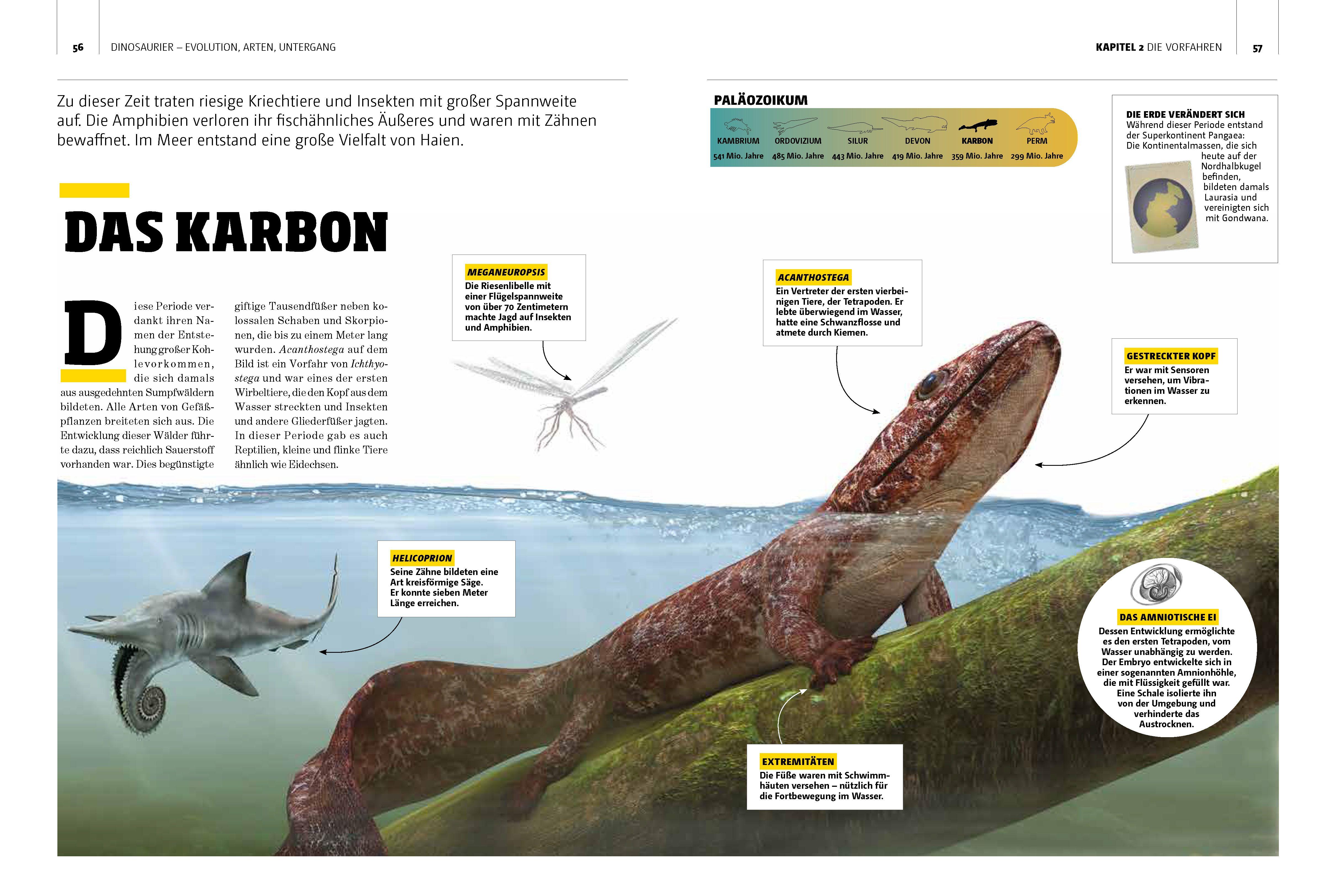 Beispielinhalt (Bild) Dinosaurier. Evolution, Arten, Untergang