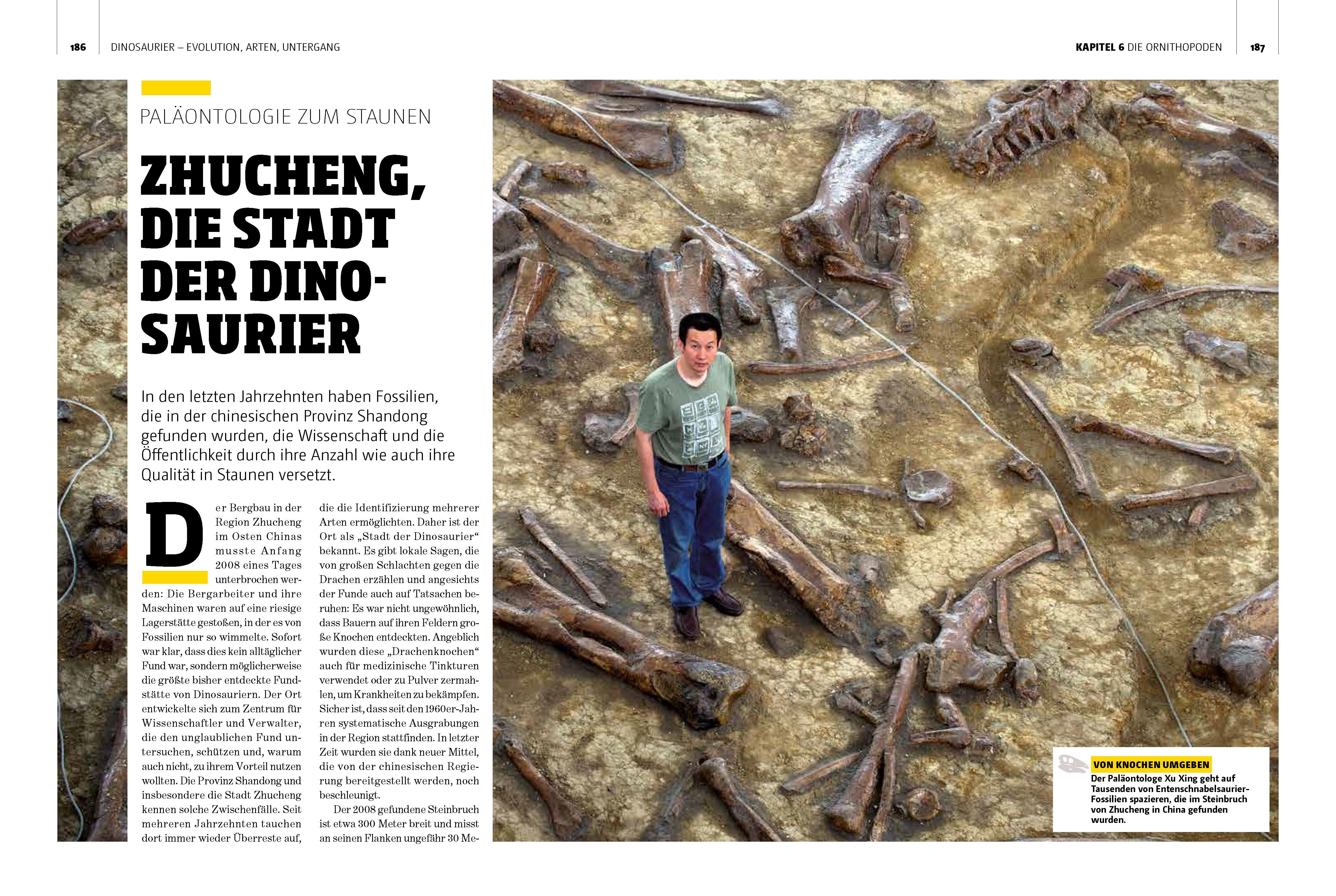 Beispielinhalt (Bild) Dinosaurier. Evolution, Arten, Untergang