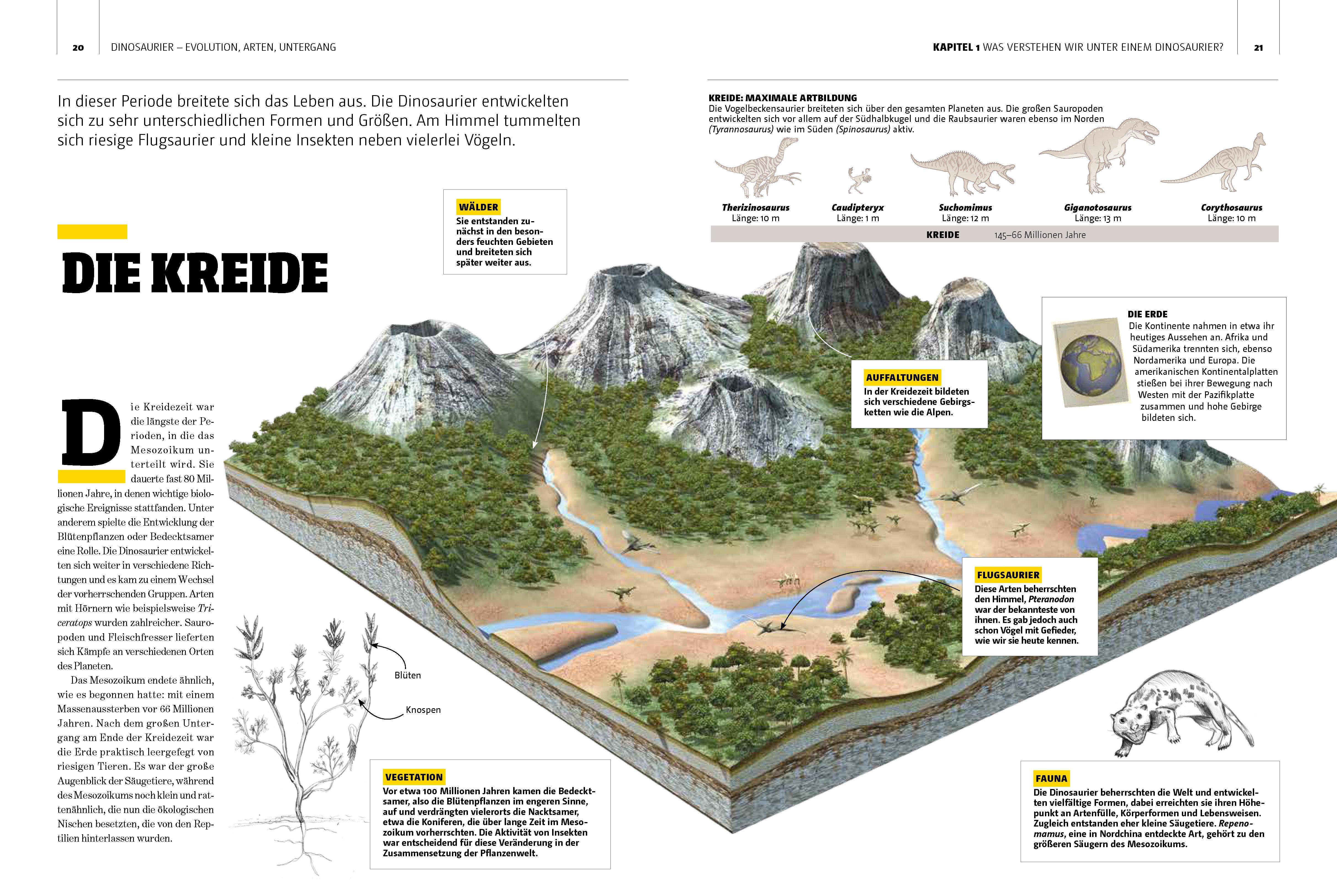 Beispielinhalt (Bild) Dinosaurier. Evolution, Arten, Untergang