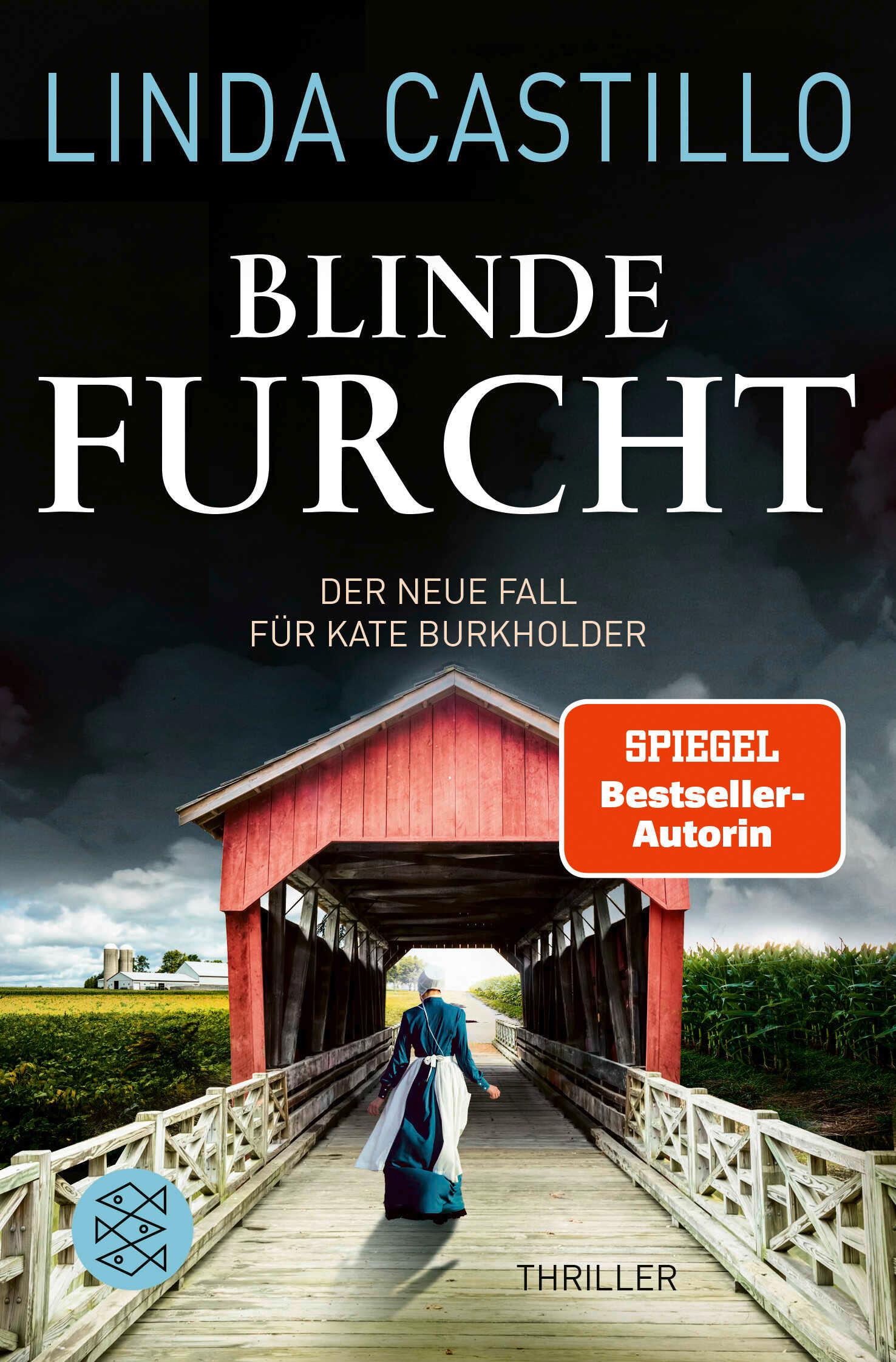 Vorderes Coverbild Blinde Furcht