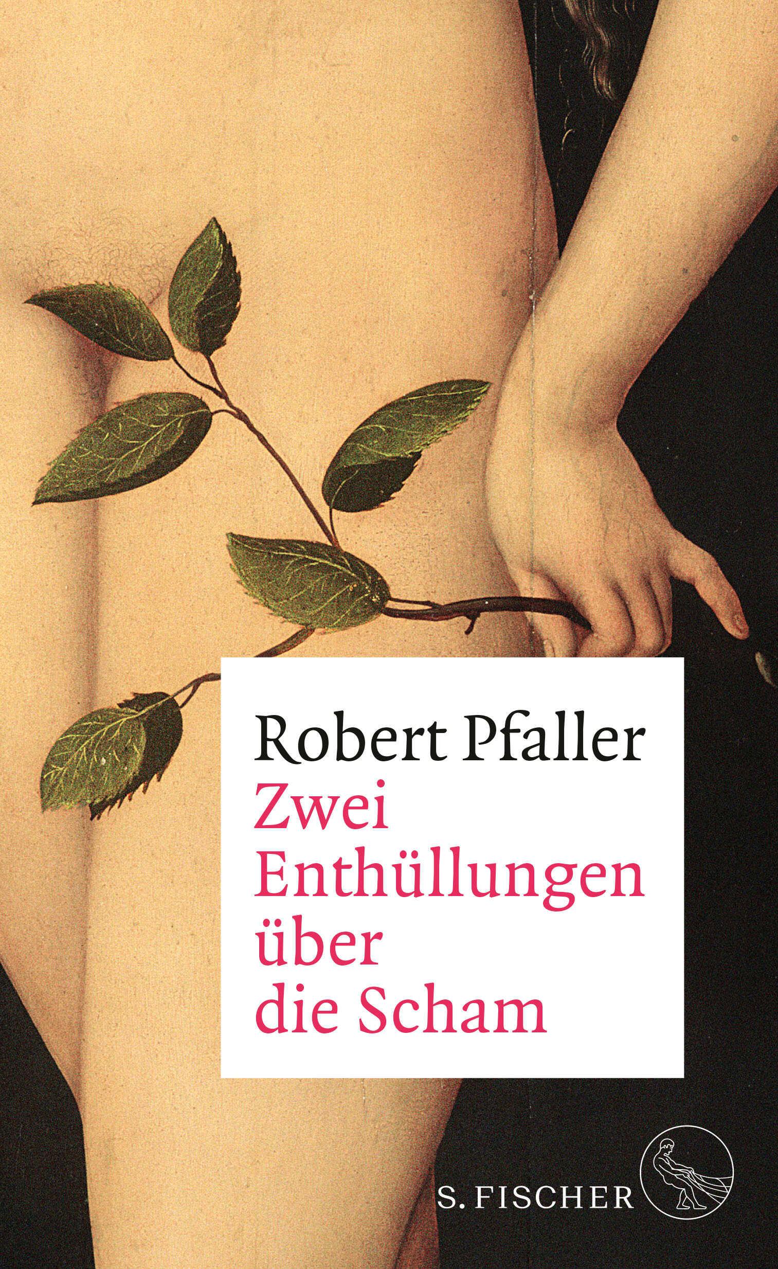 Vorderes Coverbild Zwei Enthüllungen über die Scham