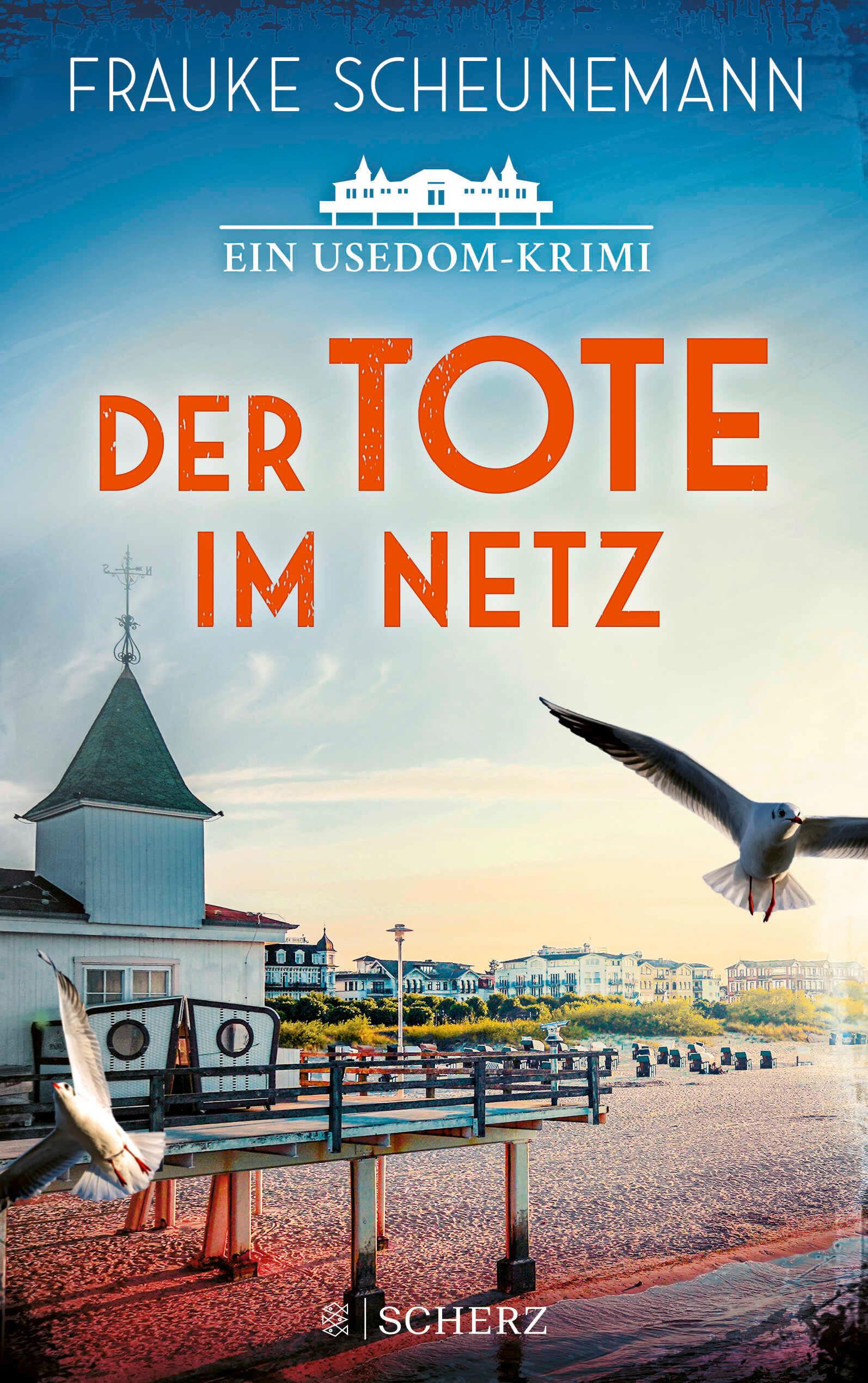 Vorderes Coverbild Der Tote im Netz