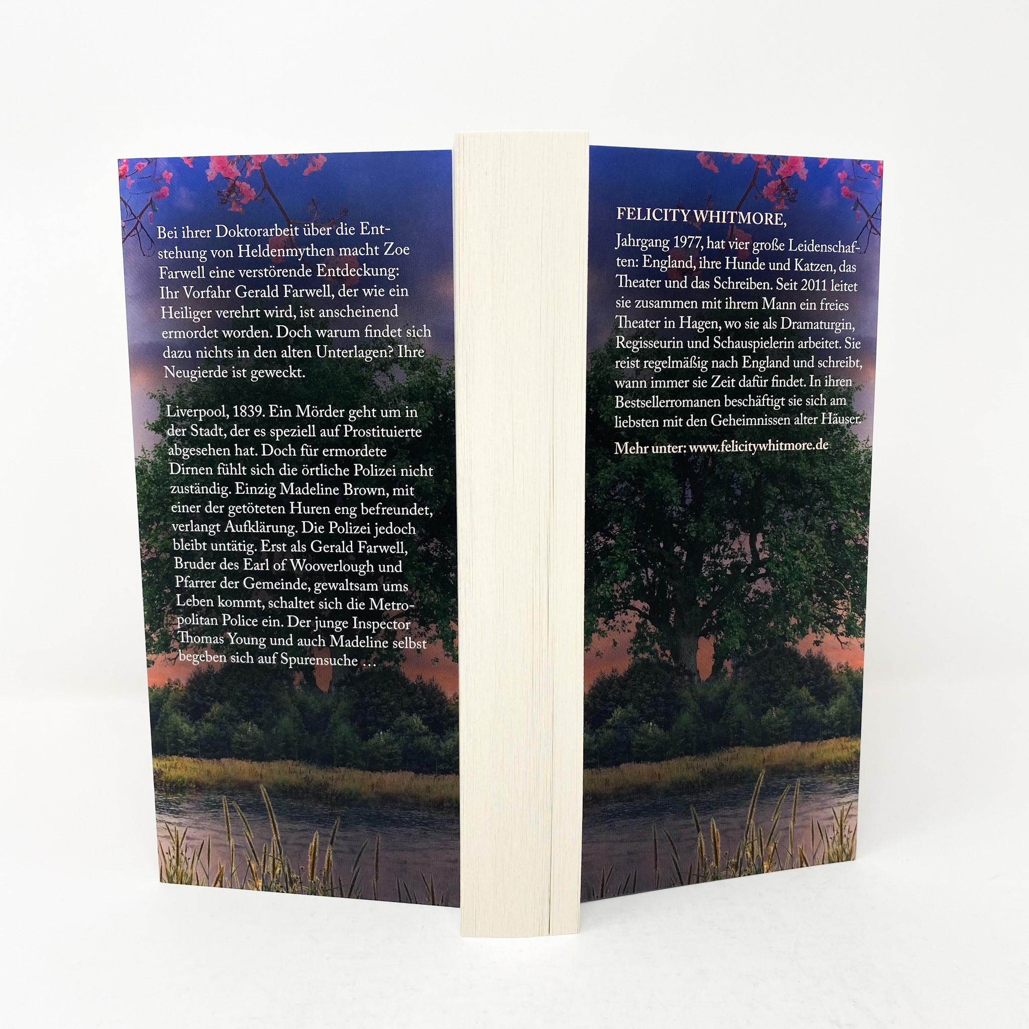 Beispielinhalt (Bild) Das Geheimnis der verborgenen Bibliothek