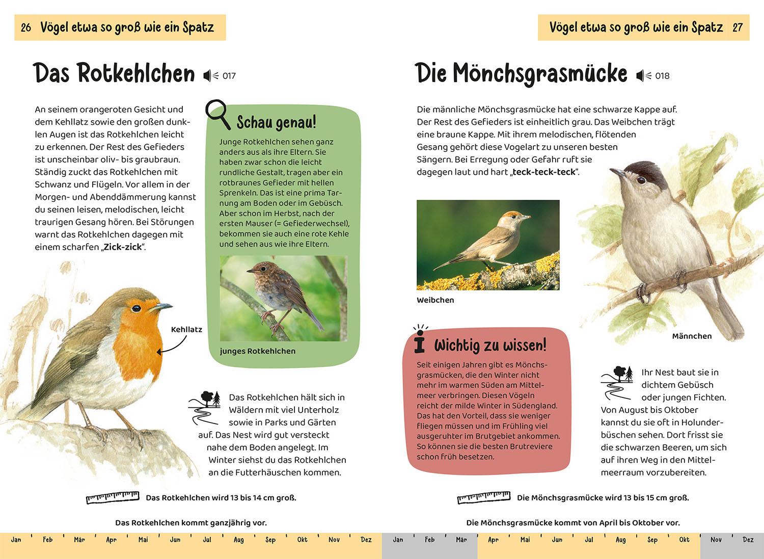 Beispielinhalt (Bild) Was fliegt denn da? Kindernaturführer