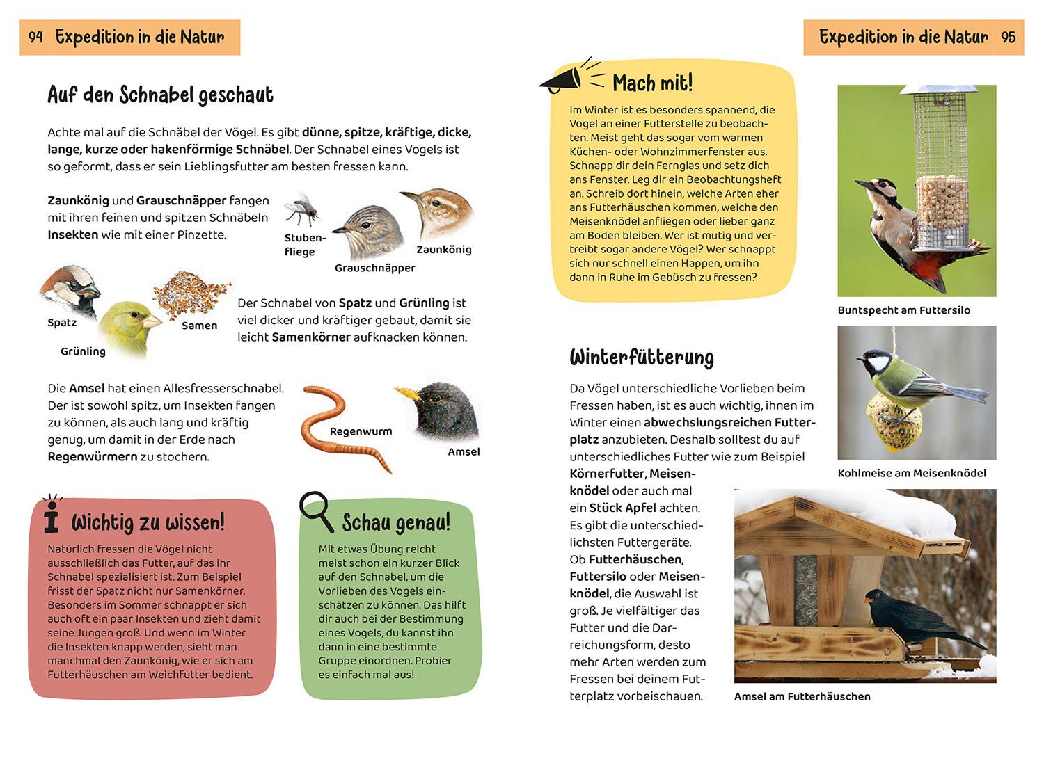Beispielinhalt (Bild) Was fliegt denn da? Kindernaturführer