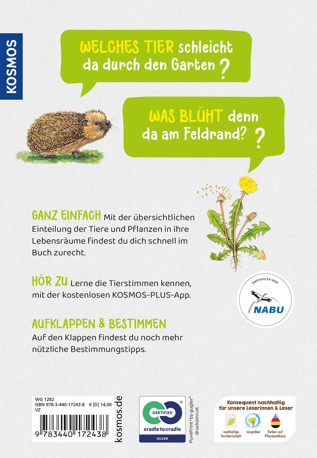 Beispielinhalt (Bild) Tier- und Pflanzenführer. Kindernaturführer