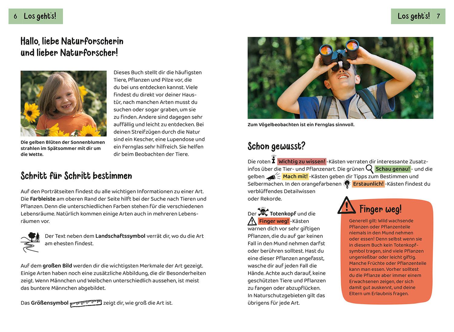 Beispielinhalt (Bild) Tier- und Pflanzenführer. Kindernaturführer