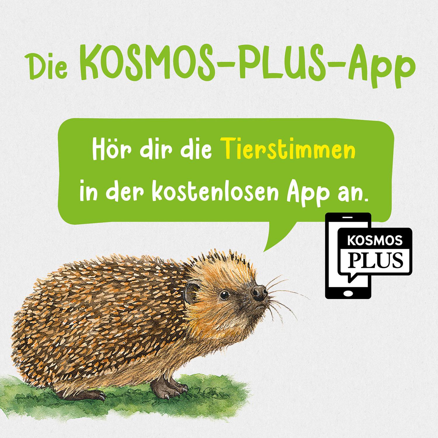 Beispielinhalt (Bild) Tier- und Pflanzenführer. Kindernaturführer