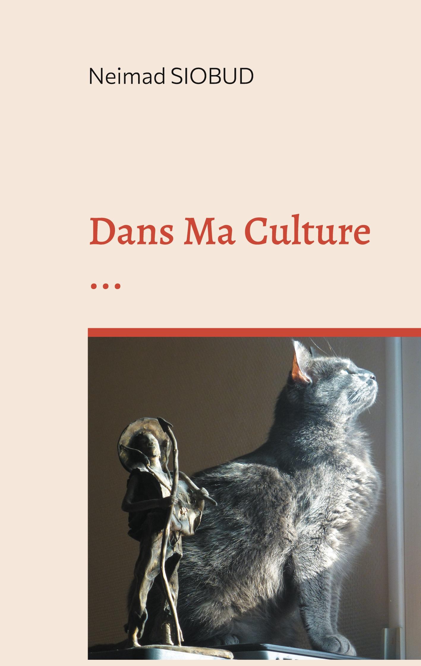 Vorderes Coverbild Dans Ma Culture ...