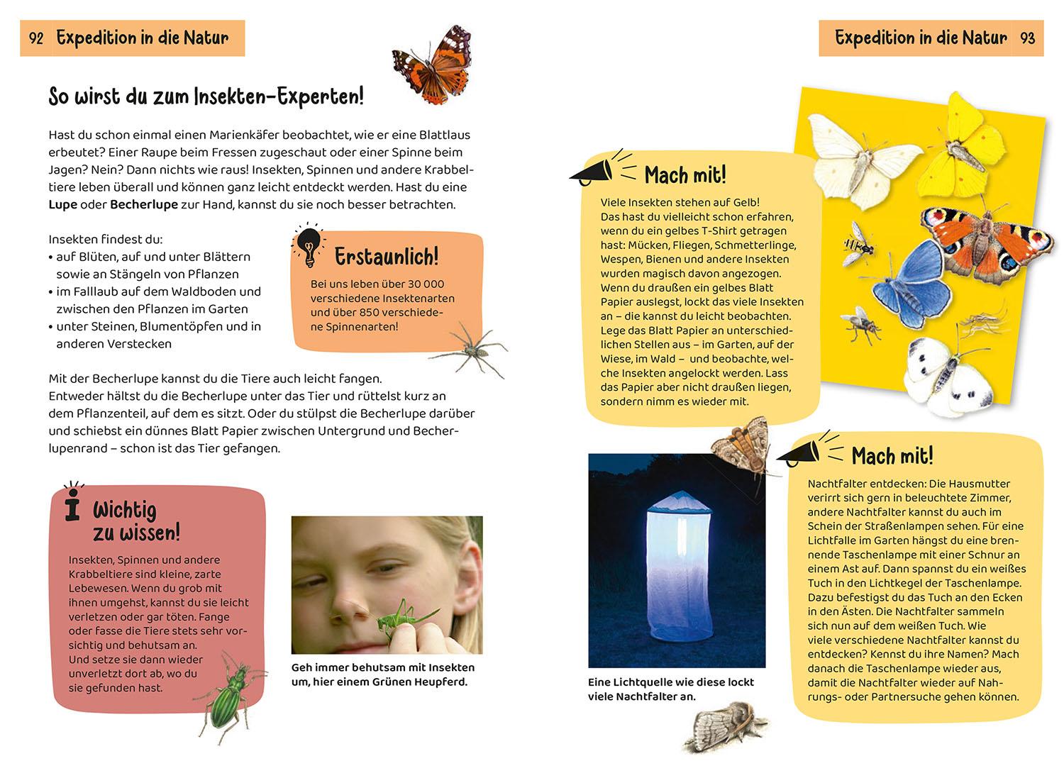 Beispielinhalt (Bild) Was krabbelt denn da? Kindernaturführer