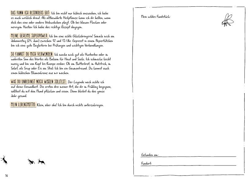 Beispielinhalt (Bild) Meine wilden Kräuterfreunde