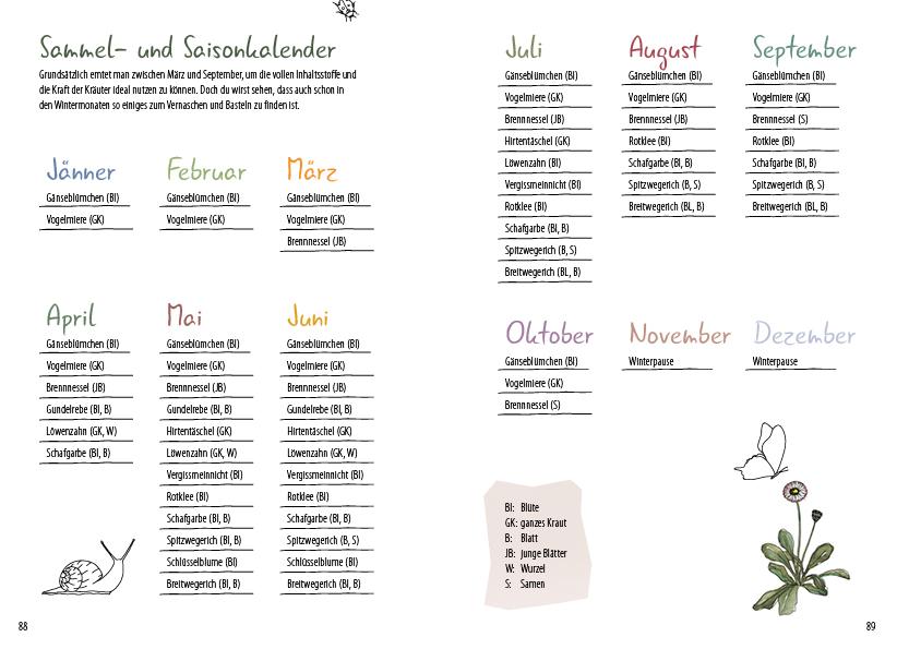 Beispielinhalt (Bild) Meine wilden Kräuterfreunde