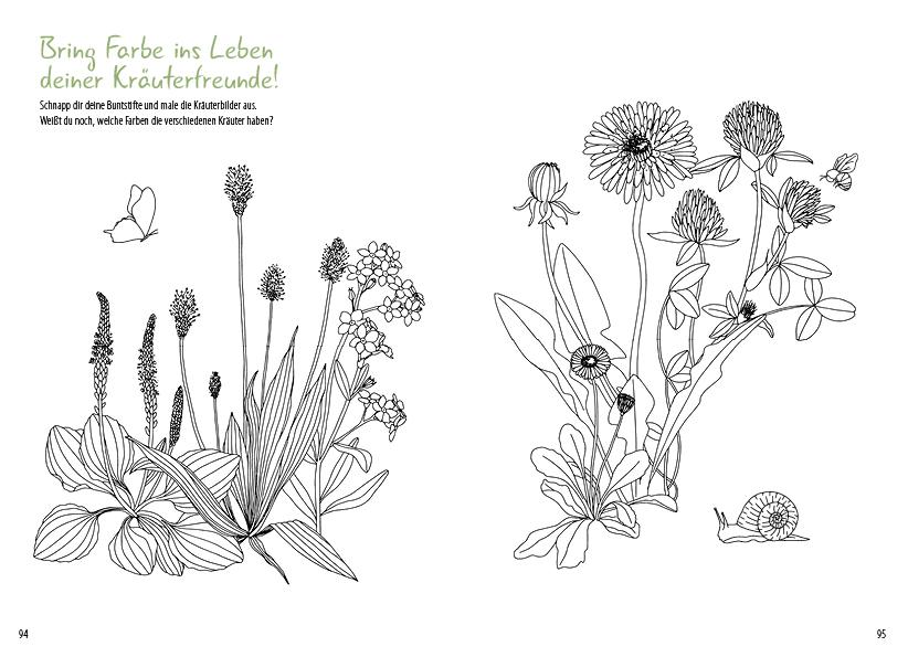 Beispielinhalt (Bild) Meine wilden Kräuterfreunde