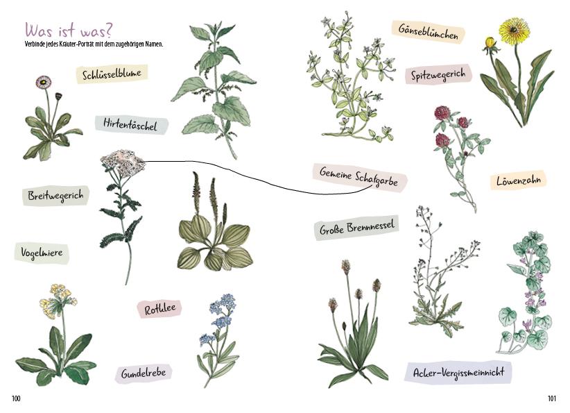 Beispielinhalt (Bild) Meine wilden Kräuterfreunde