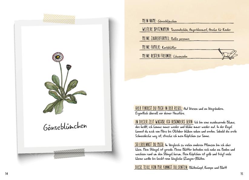 Beispielinhalt (Bild) Meine wilden Kräuterfreunde