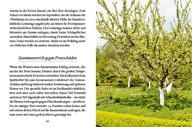 Beispielinhalt (Bild) Das große kleine Buch: Obstbäume in unserem Garten