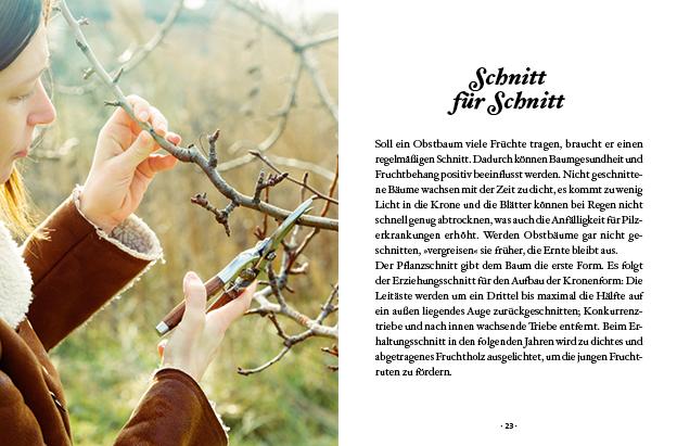 Beispielinhalt (Bild) Das große kleine Buch: Obstbäume in unserem Garten