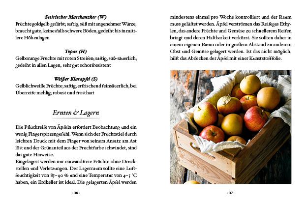 Beispielinhalt (Bild) Das große kleine Buch: Obstbäume in unserem Garten