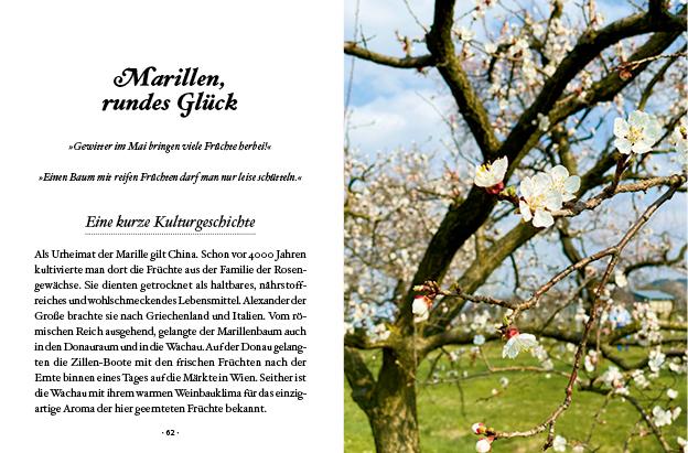 Beispielinhalt (Bild) Das große kleine Buch: Obstbäume in unserem Garten