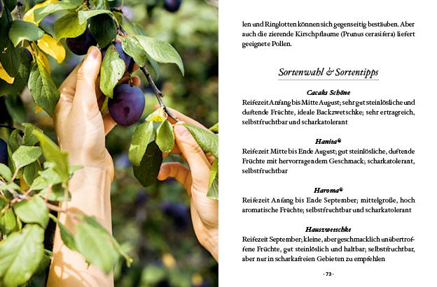 Beispielinhalt (Bild) Das große kleine Buch: Obstbäume in unserem Garten