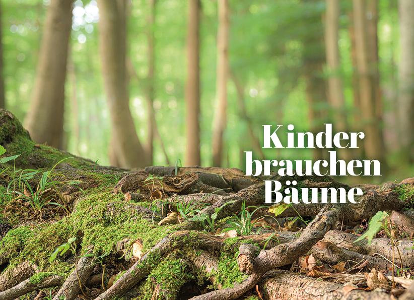 Beispielinhalt (Bild) Waldeskind