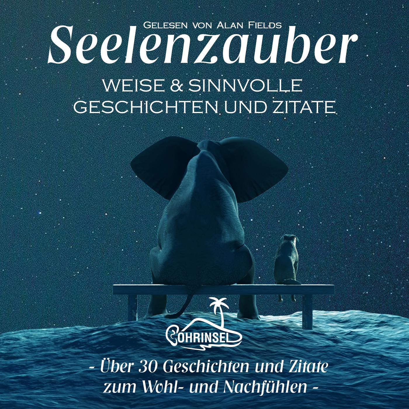 Vorderes Coverbild Seelenzauber